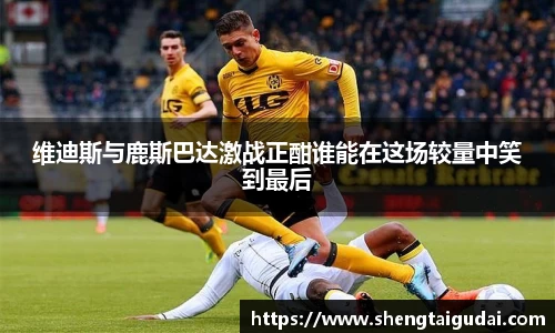 悟空体育维迪斯与鹿斯巴达激战正酣谁能在这场较量中笑到最后